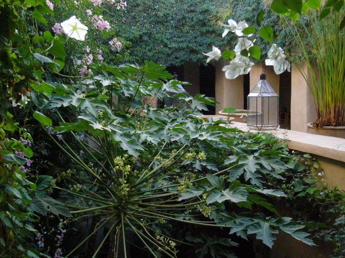 Dar Zahia Hotel Taroudant Exterior foto