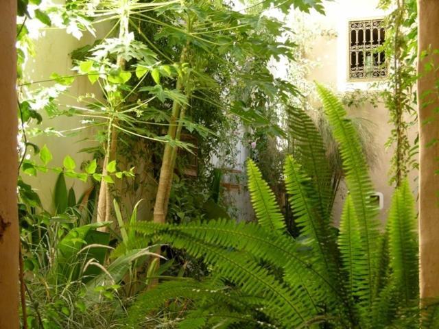 Dar Zahia Hotel Taroudant Exterior foto
