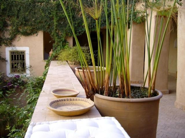 Dar Zahia Hotel Taroudant Exterior foto