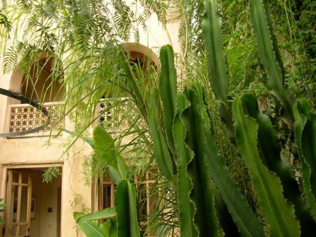 Dar Zahia Hotel Taroudant Exterior foto