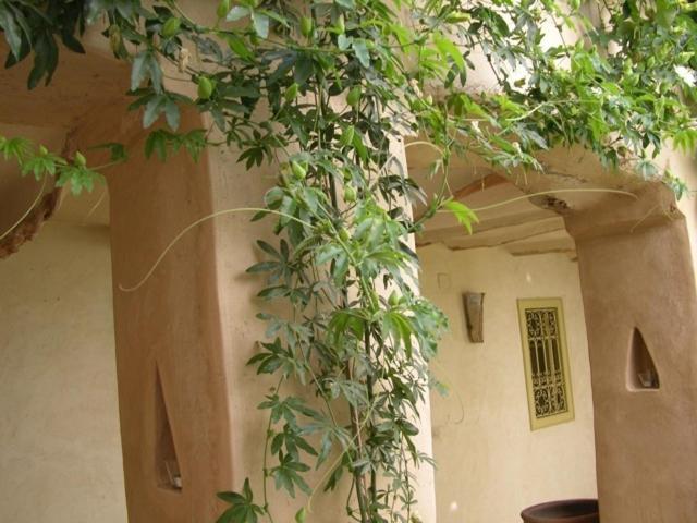 Dar Zahia Hotel Taroudant Exterior foto
