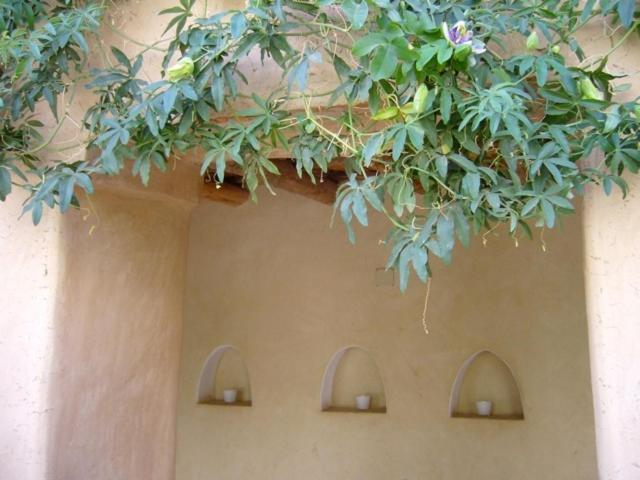 Dar Zahia Hotel Taroudant Exterior foto
