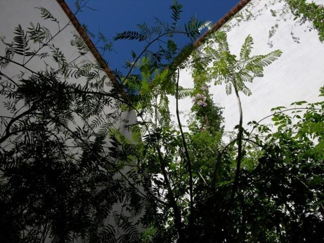 Dar Zahia Hotel Taroudant Exterior foto
